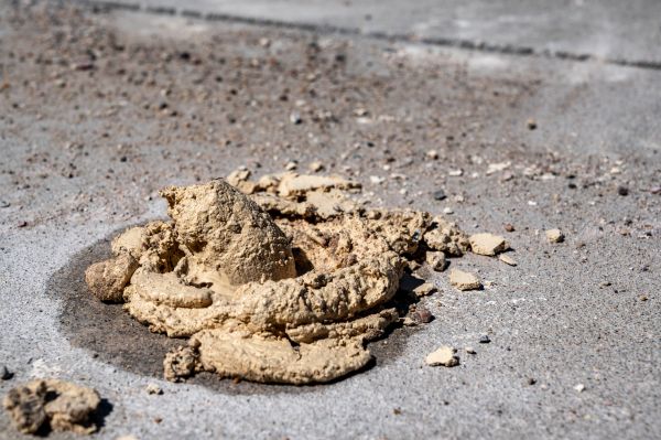 Cost of Driveway Slab Leveling in Summerfield